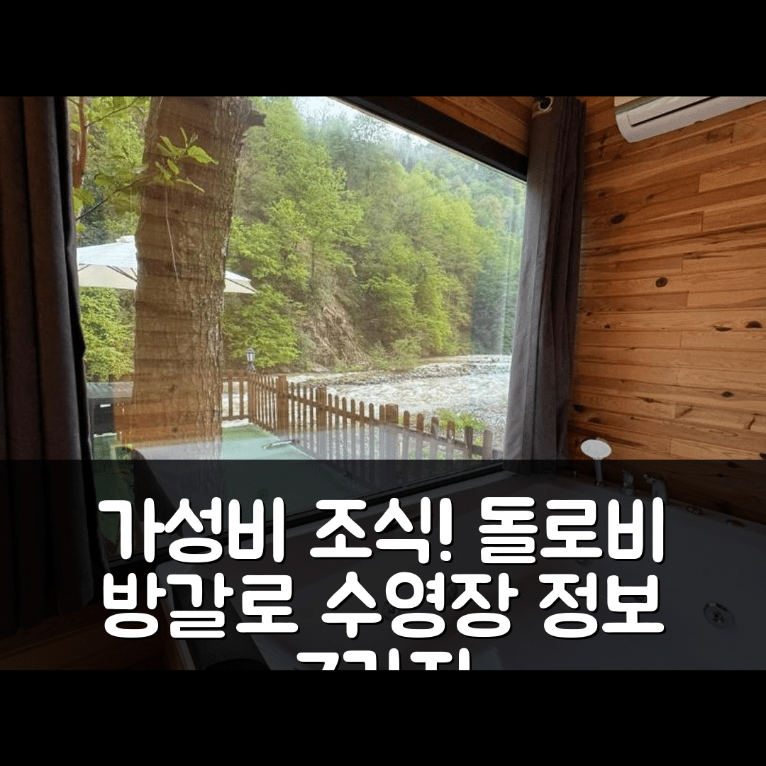 참르헴신 숙소 여행 호텔 추천 돌로비 방갈로 | 가성비 뛰어난 조식과 수영장 정보 7가지