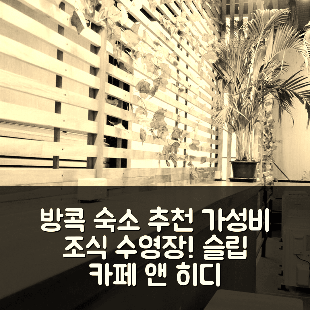 방콕 숙소 여행 호텔 추천 슬립 카페 앤 히디 | 가성비 뛰어난 조식과 수영장 편의시설 7가지