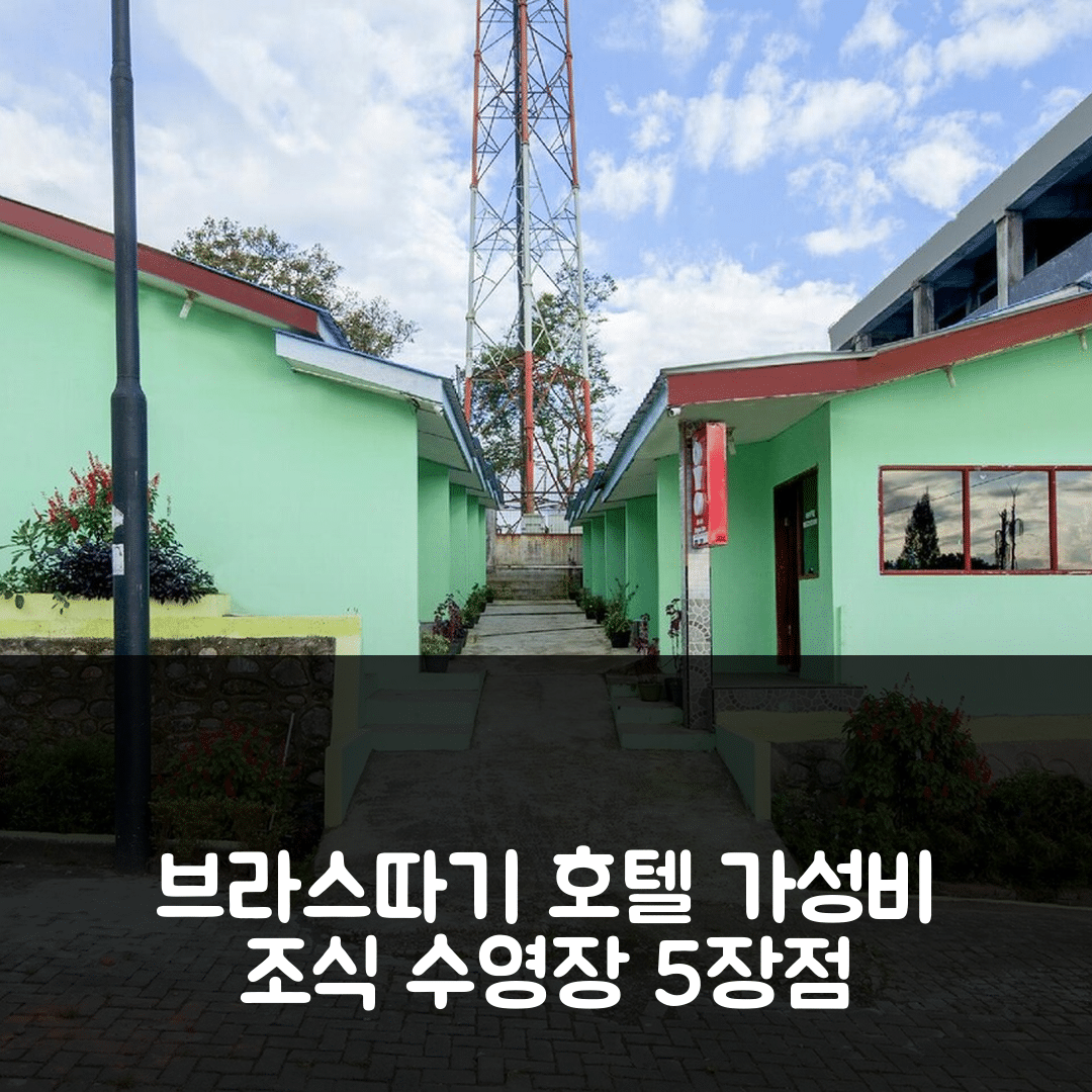 브라스따기 숙소 여행 호텔 추천 오요 1701 바구스 인 | 가성비 뛰어난 조식과 수영장 있는 곳 5가지 장점