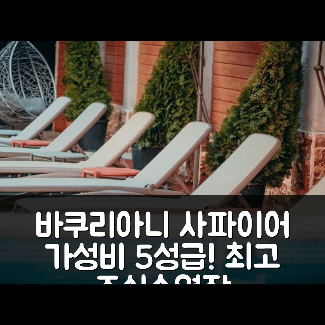 바쿠리아니 숙소 여행 호텔 추천 사파이어 호텔 | 가성비 최고의 5성급 조식과 수영장 정보 7가지