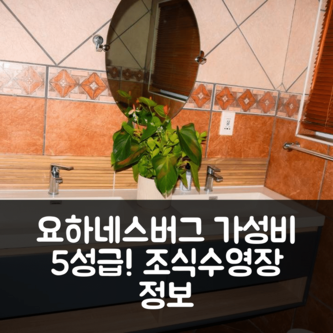 요하네스버그 숙소 여행 호텔 추천 디칼로 하이스턴 | 가성비 좋은 5성급 조식과 수영장 정보 7가지