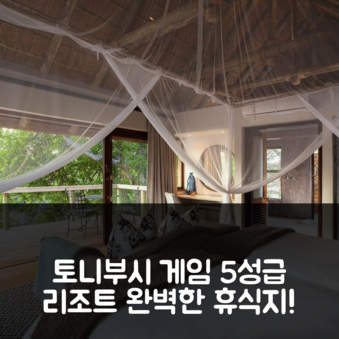 토니부시 게임 리저브 숙소 여행 호텔 추천 손색없는 토니부시 게임 로지 | 5성급 조식과 수영장 완벽한 휴식지 7가지 이유