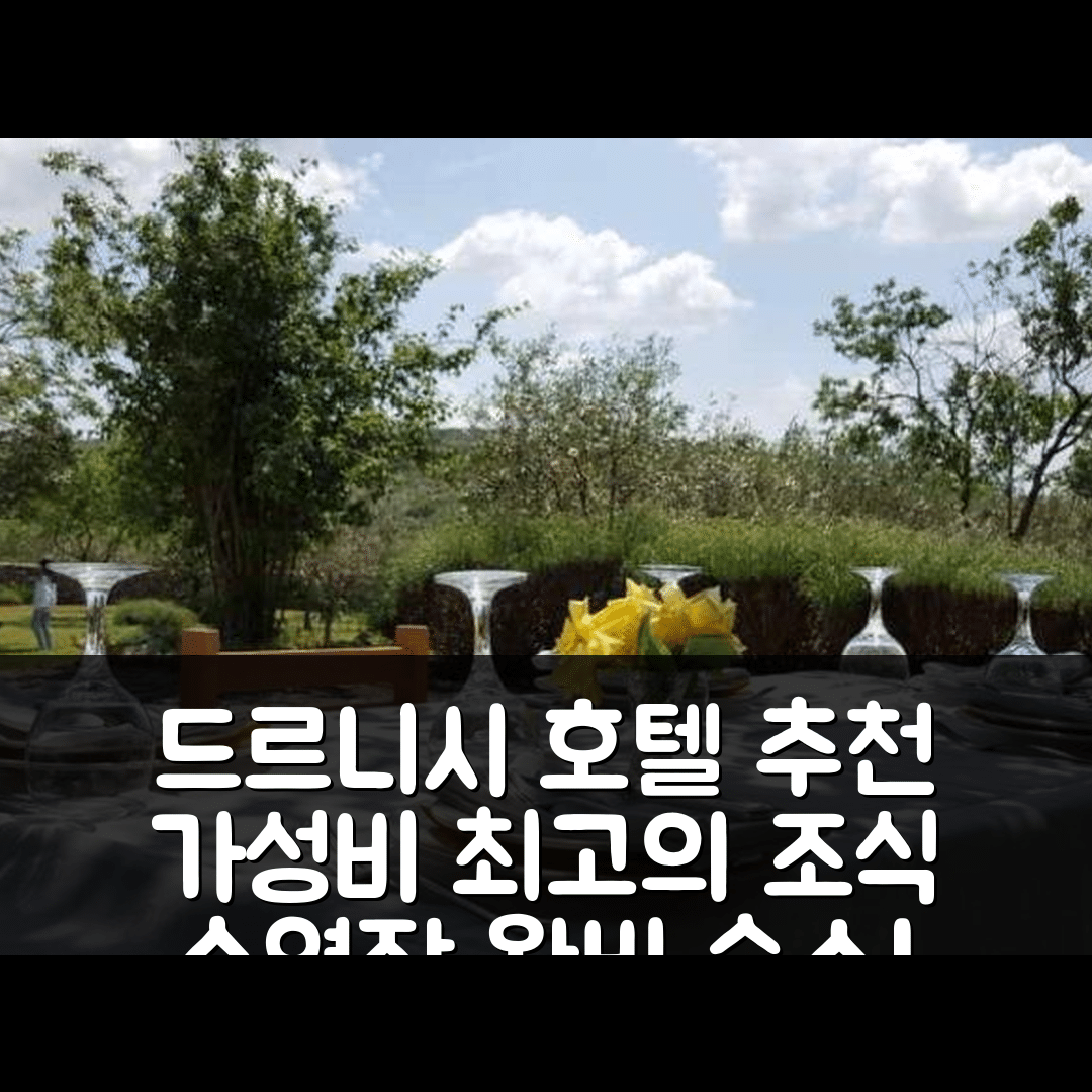 드르니시 숙소 여행 호텔 추천 홀리데이 홈 키케 앤 마라 | 가성비 뛰어난 3가지 조식과 수영장 정보