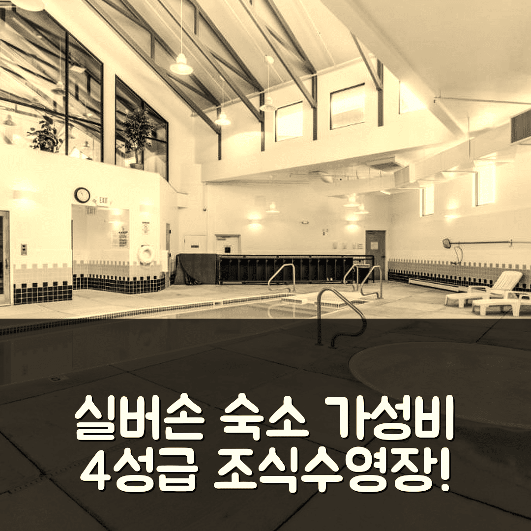 실버손 숙소 여행 호텔 추천 로지폴 랜딩 | 가성비 좋은 4성급 조식과 수영장 정보 5가지