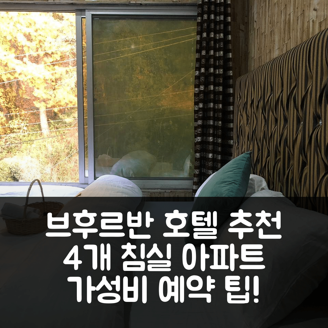 브후르반 숙소 여행 호텔 추천 부르반의 아파트먼트 | 4개 침실과 가성비 좋은 예약 팁 5가지