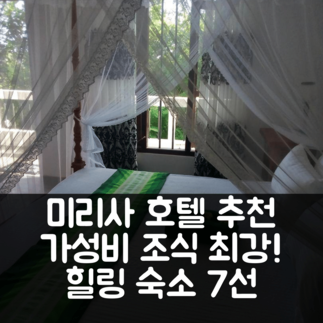 미리사 숙소 여행 호텔 추천 다사 게스트 미리사 | 가성비와 조식이 훌륭한 휴식처 7가지 이유