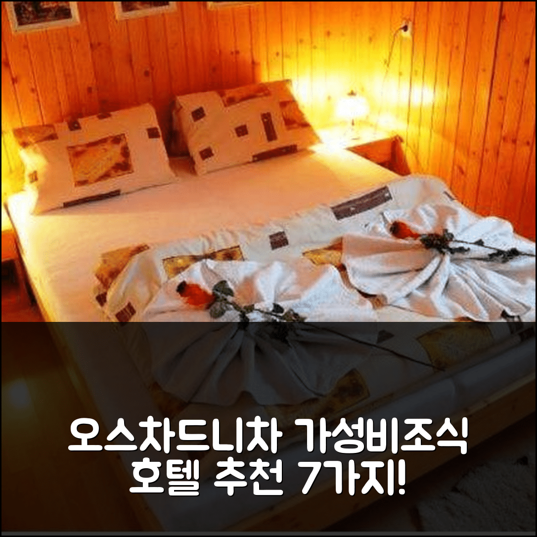 오스차드니차 숙소 여행 호텔 추천 로디녀 아파트먼트 알핀카 | 가성비와 조식이 뛰어난 7가지 이유