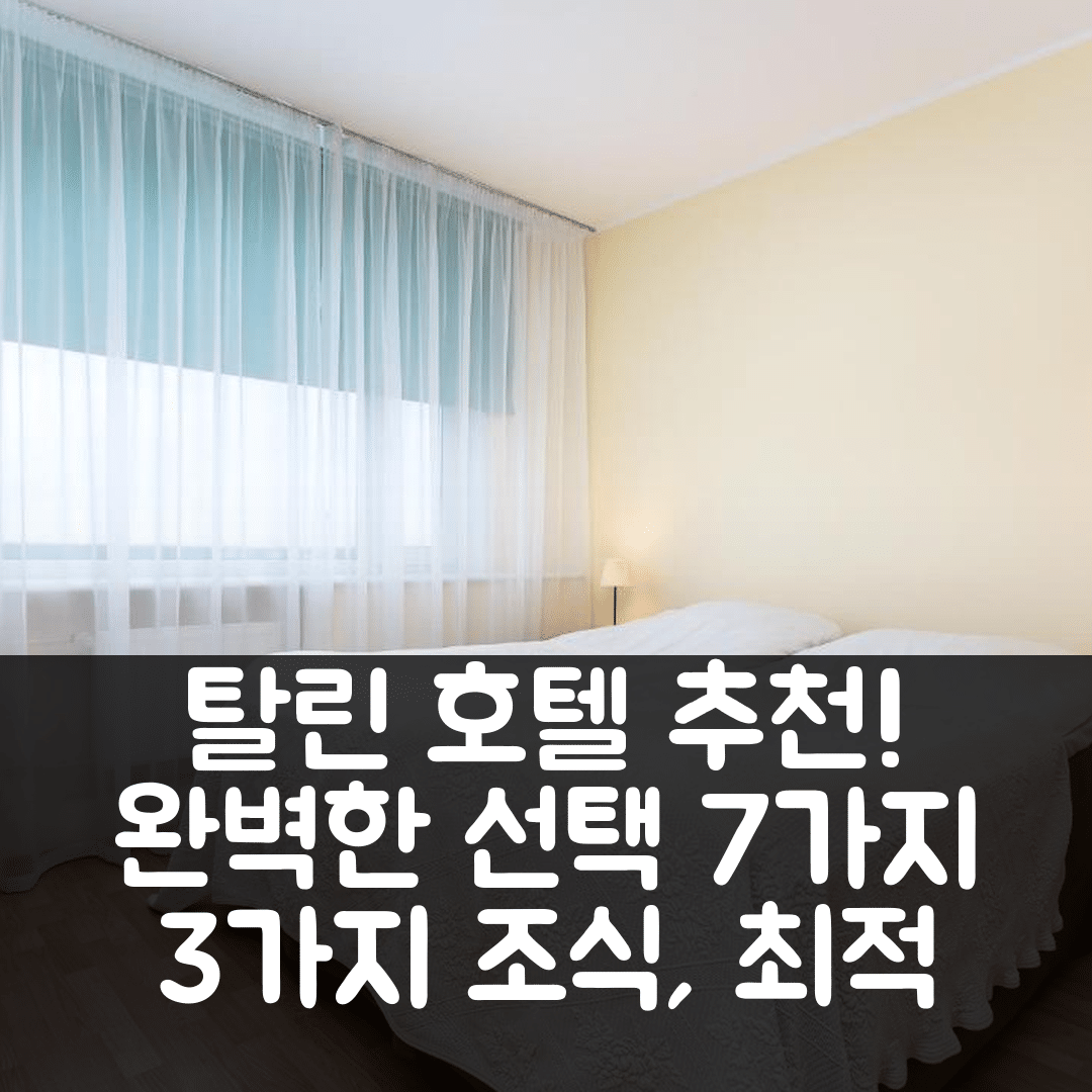 탈린 숙소 여행 호텔 추천 호텔 디진겔 | 3가지 조식, 가격, 위치로 완벽한 선택 7가지 이유