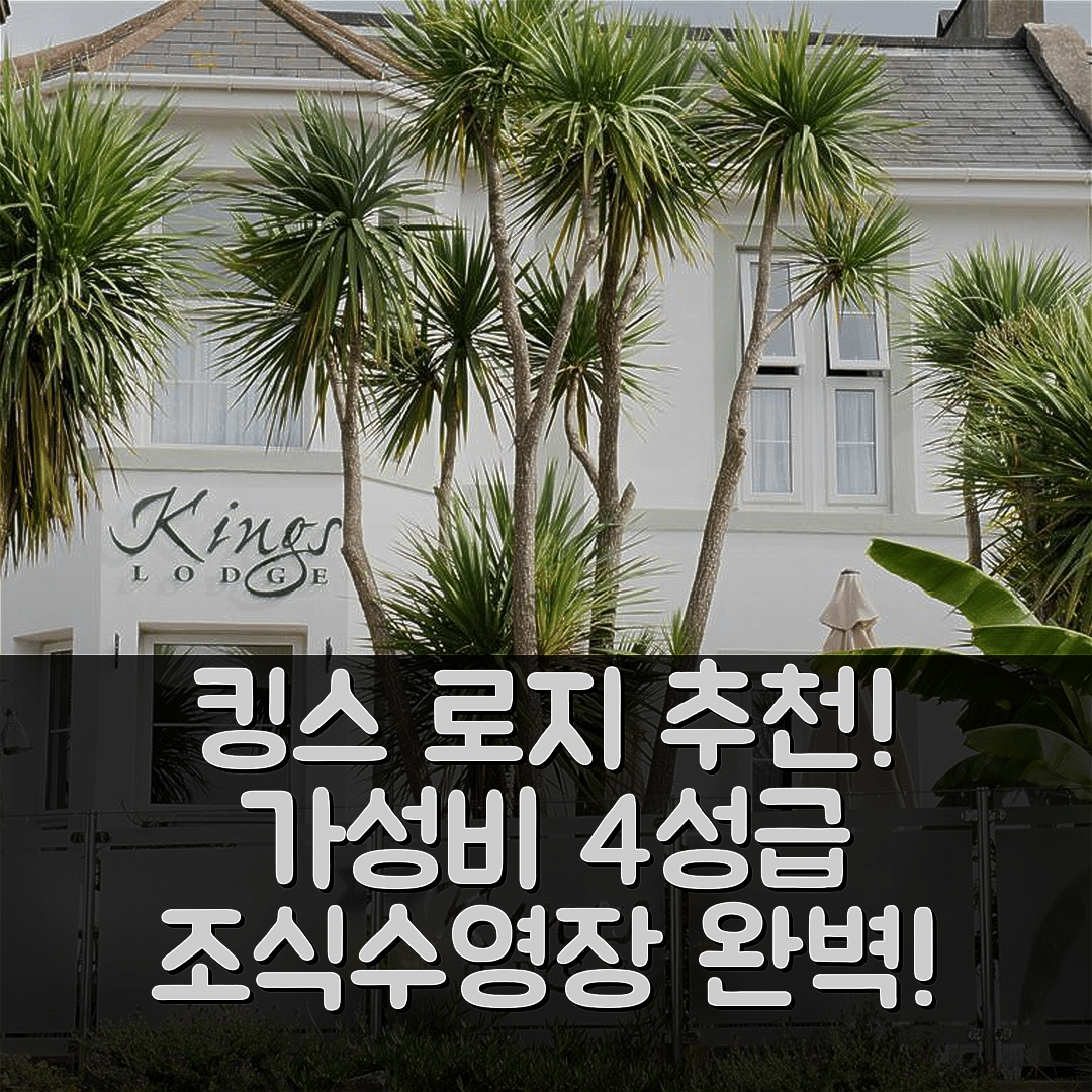 토키 숙소 여행 호텔 추천 킹스 로지 | 가성비 우수 4성급 조식 및 수영장 정보 7가지