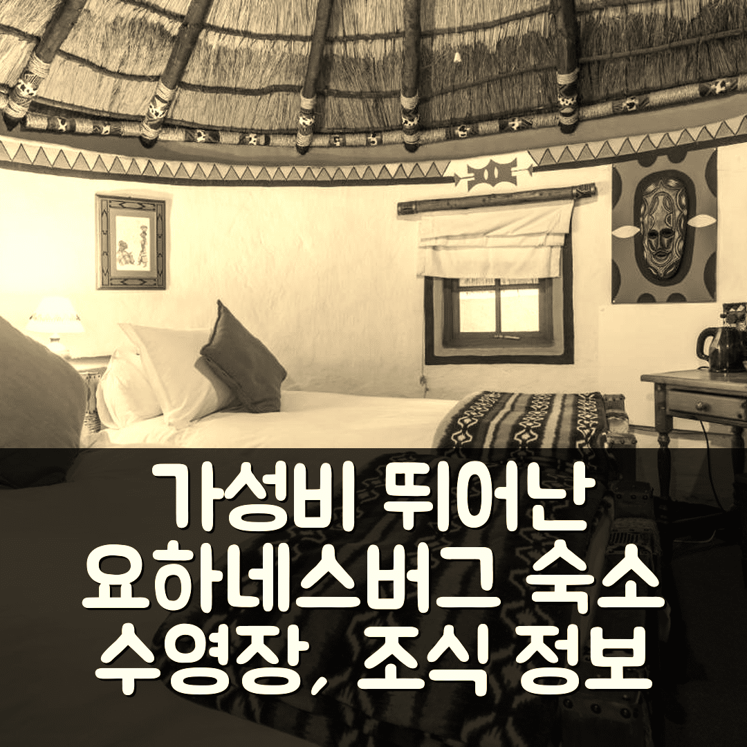 요하네스버그 숙소 여행 호텔 추천 아하 레세디 아프리칸 로지 | 가성비 뛰어난 조식과 수영장 정보 7가지