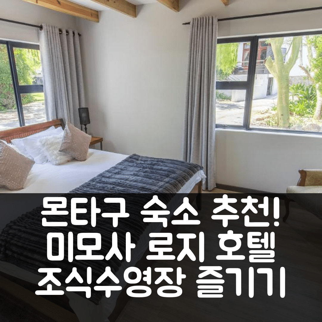 몬타구 숙소 여행 호텔 추천 미모사 로지 호텔 | 조식과 수영장으로 즐기는 가성비 좋은 5가지 팁