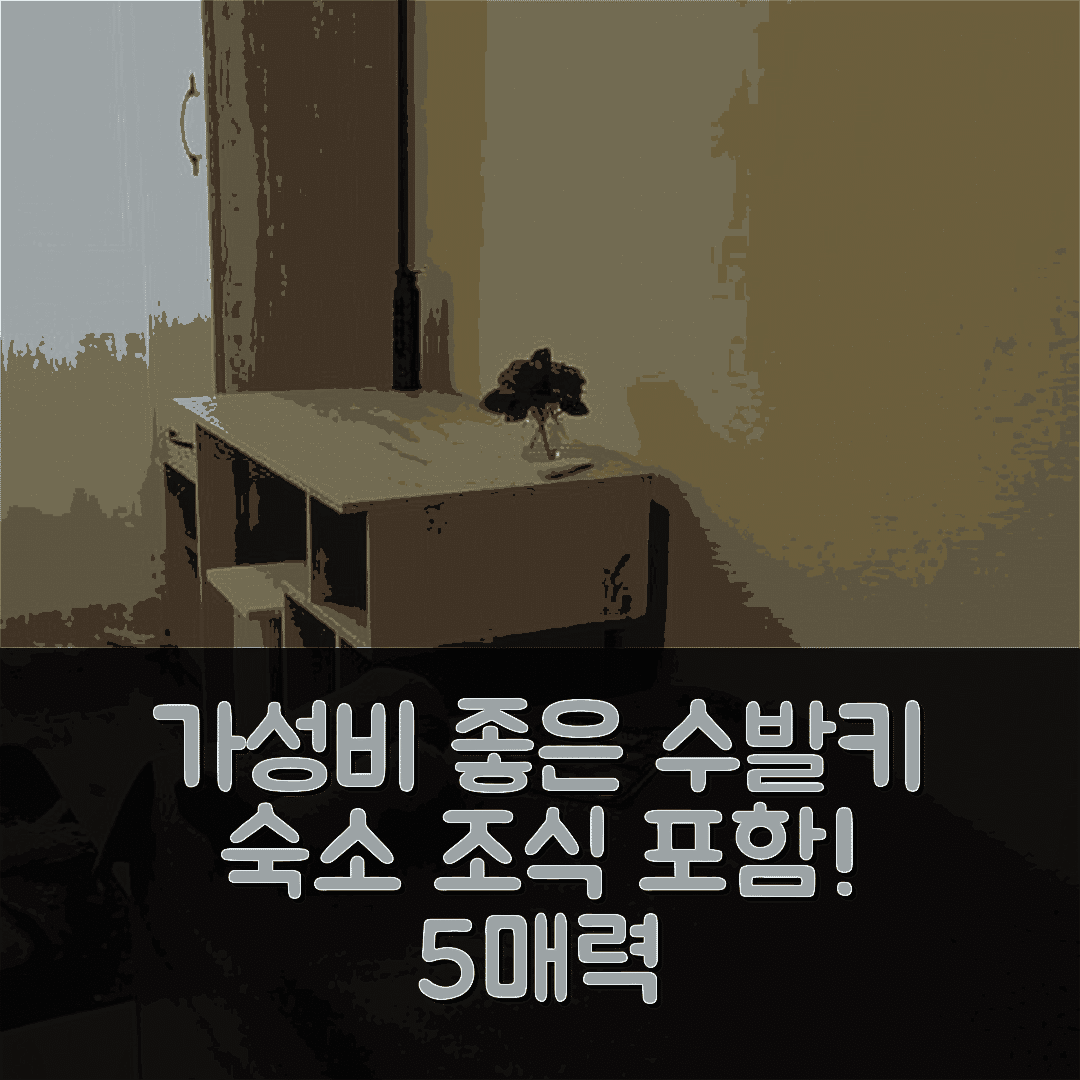 수발키 숙소 여행 호텔 추천 호스텔 로자 | 가성비 좋은 위치와 조식으로 만나는 5가지 매력
