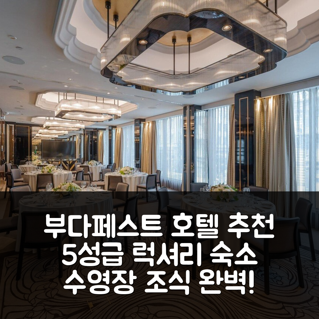 부다페스트 숙소 여행 호텔 추천 마틸드 팰리스 어 럭셔리 컬렉션 호텔 | 5성급 조식과 수영장 가성비 좋은 이유 7가지