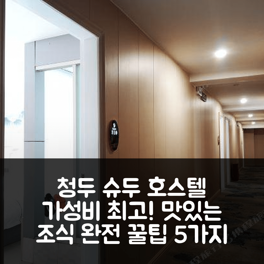 청두 숙소 여행 호텔 추천 슈두 호스텔 | 가성비와 조식이 뛰어난 예약 팁 5가지