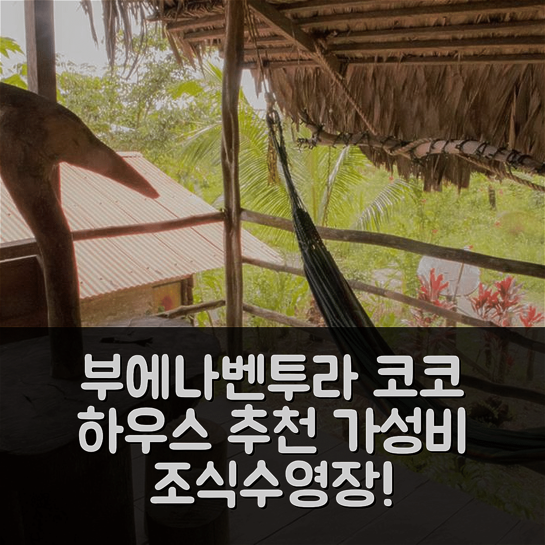 부에나벤투라 숙소 여행 호텔 추천 코코 하우스 | 가성비 뛰어난 조식과 수영장 5가지 이유
