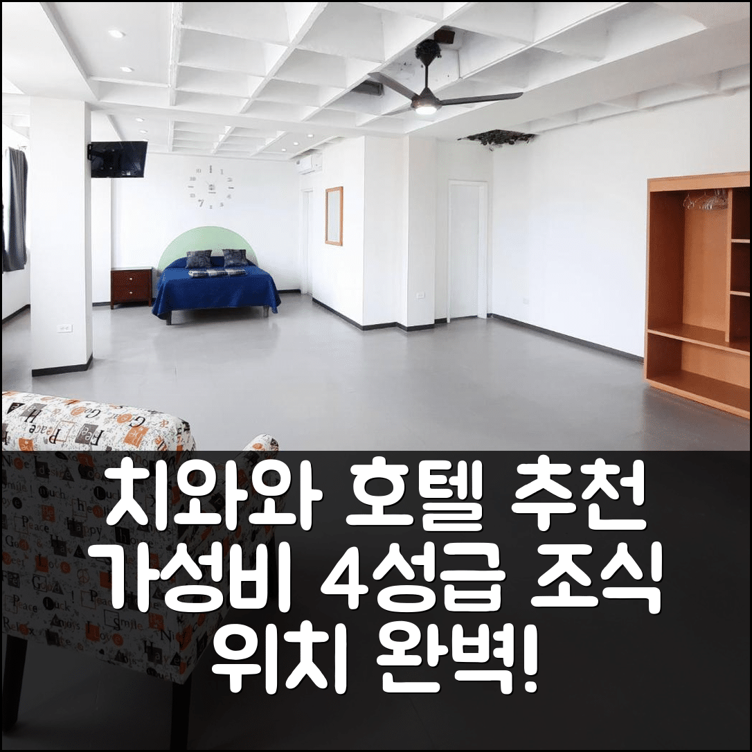 치와와 숙소 여행 호텔 추천 알렌데 104 호텔 | 가성비 뛰어난 4성급 조식과 위치 정보 7가지
