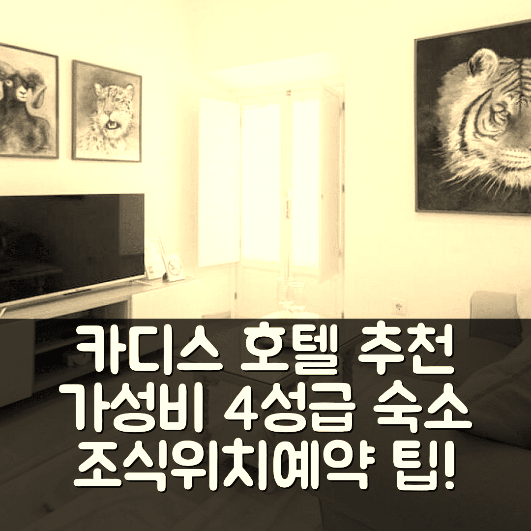 카디스 숙소 여행 호텔 추천 아파르타멘토 라 테라사 델 드라고 | 가성비 좋은 4성급 조식과 위치, 예약 팁 6가지
