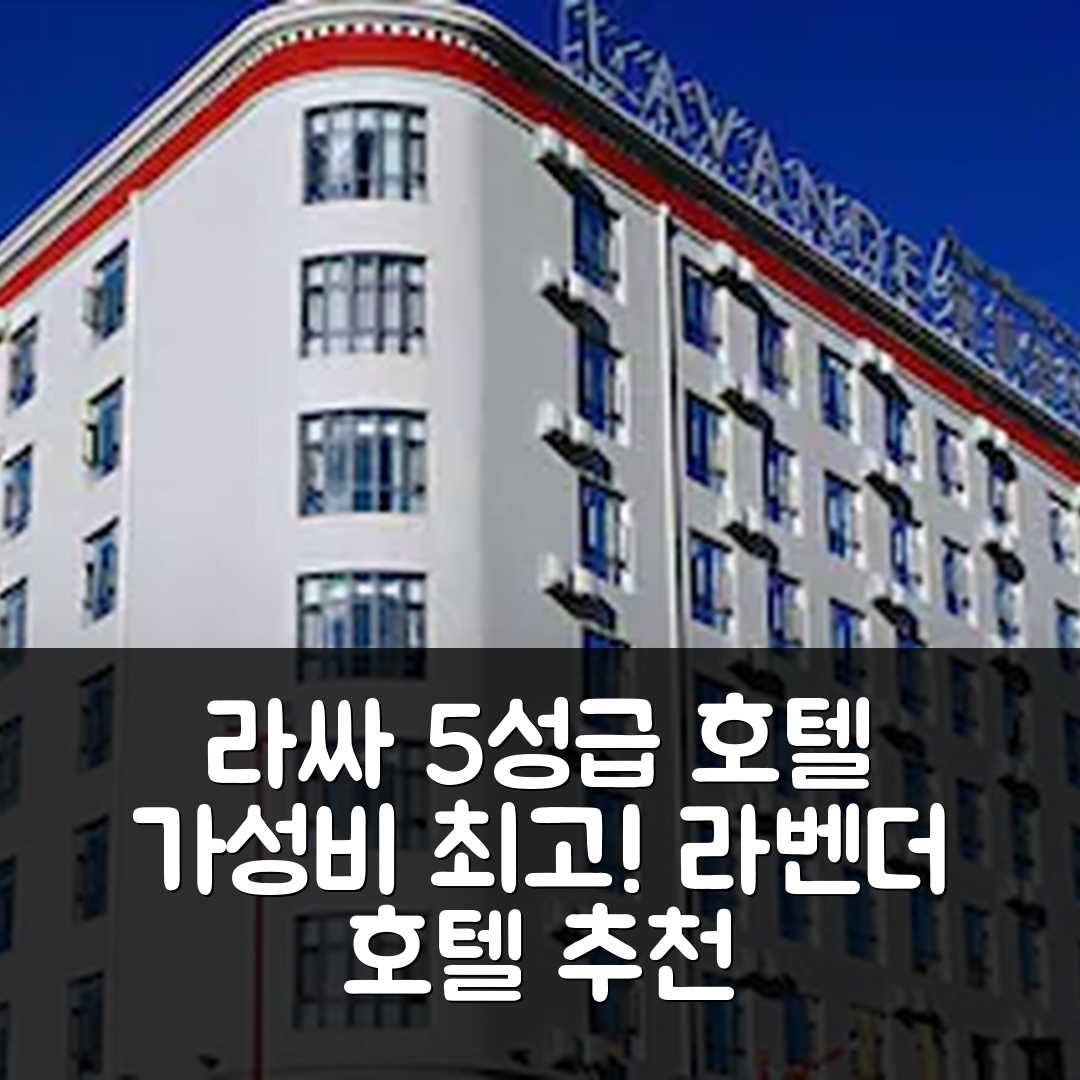 라싸 숙소 여행 호텔 추천 라벤더 호텔 라싸 뮤니시펄 | 5성급 조식과 가성비 최강 7가지 이유