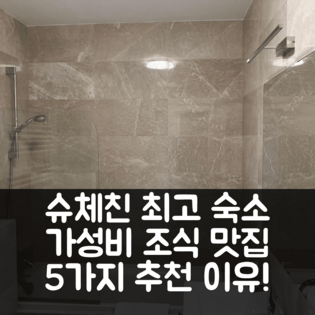 슈체친 숙소 여행 호텔 추천 재브 아파트멘트 프리 클리니케 | 가성비와 조식이 뛰어난 5가지 이유
