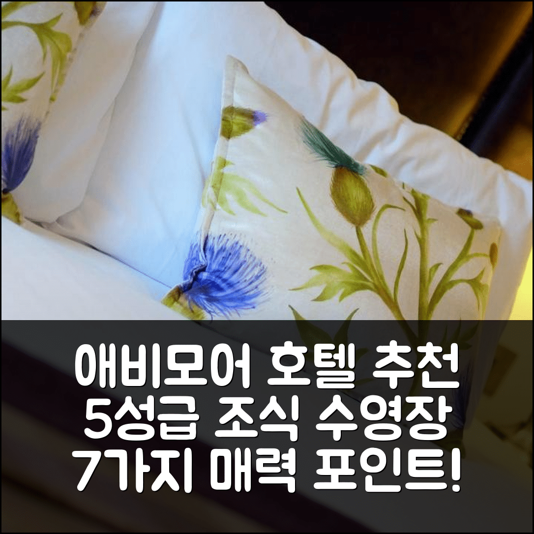 애비모어 숙소 여행 호텔 추천 맥도날드 모르리히 호텔 | 5성급 조식과 수영장이 매력적인 7가지 이유