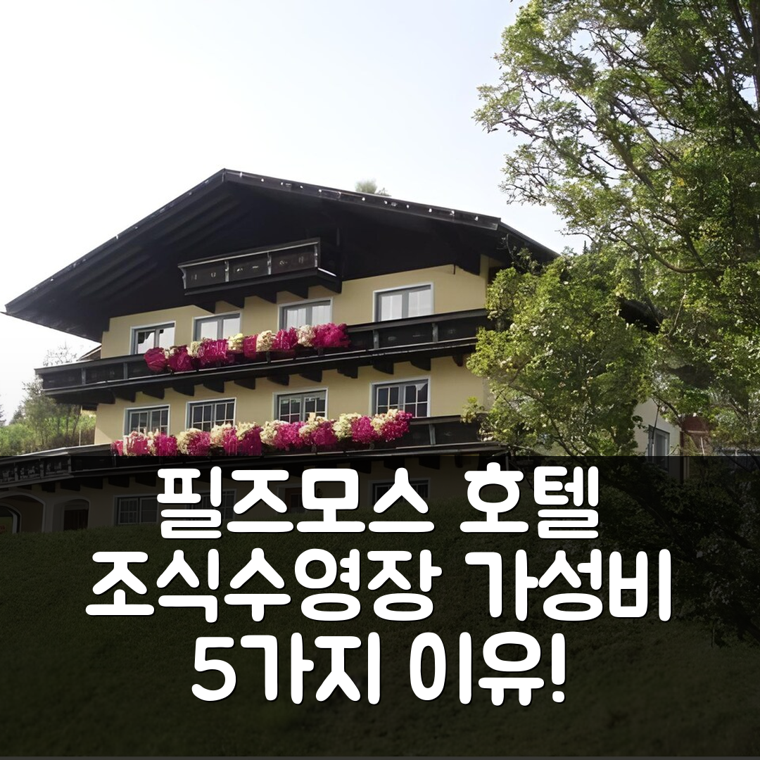 필즈모스 숙소 여행 호텔 추천 하우스 클라인베르크 | 조식과 수영장 완벽 가성비 5가지 이유