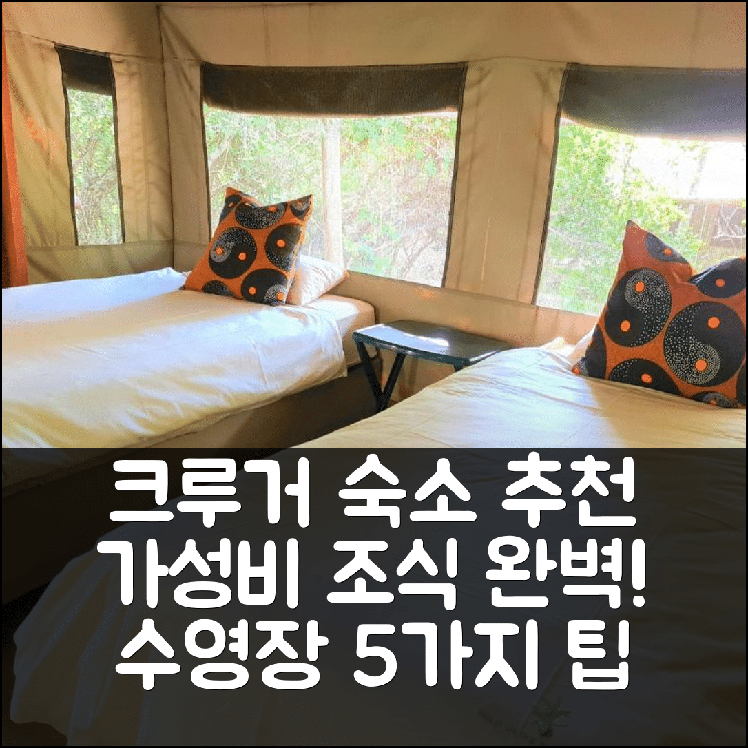 크루거 국립 공원 숙소 여행 호텔 추천 더 와일드 올리브 트리 캠프 | 가성비 뛰어난 조식과 수영장 즐기는 5가지 방법