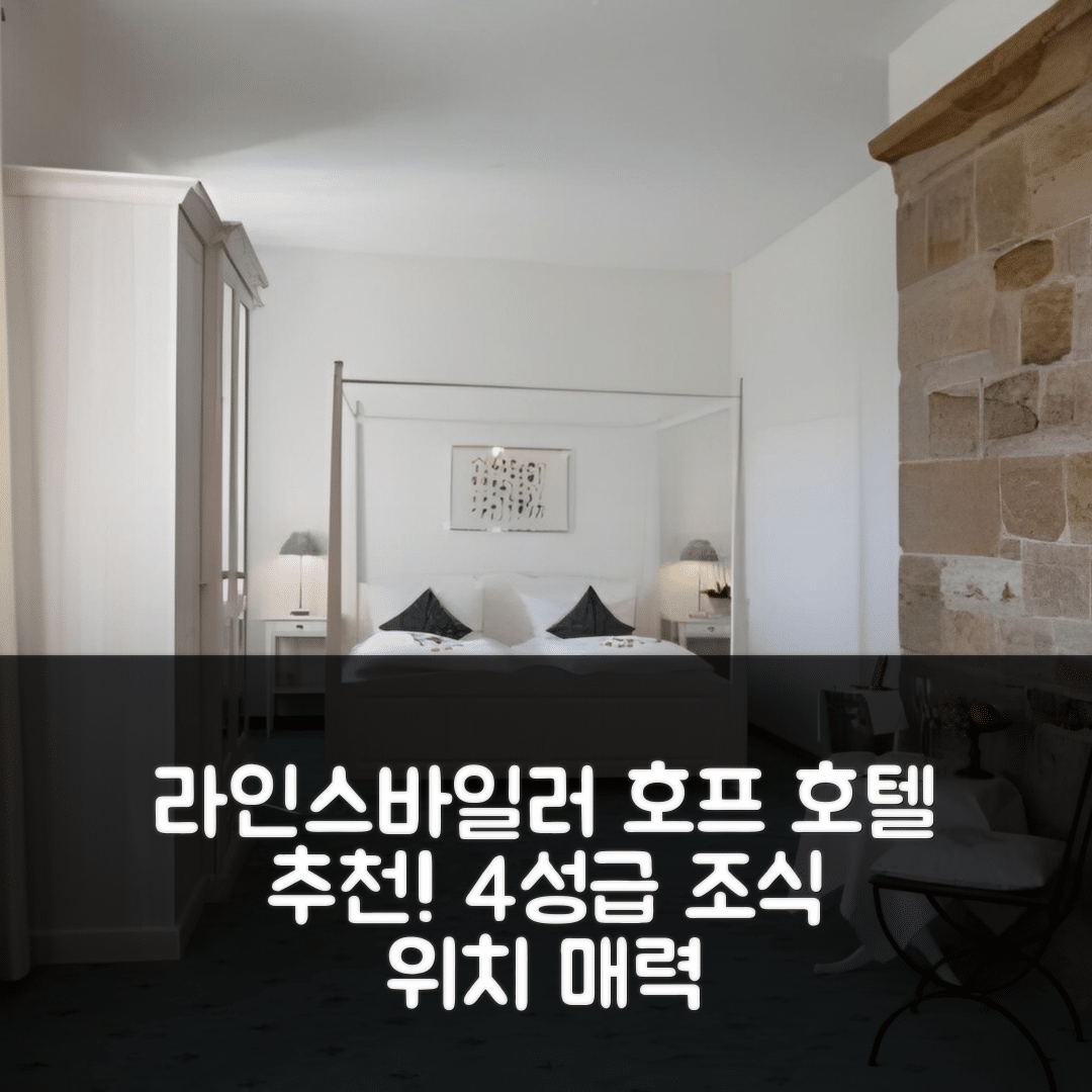 라인스바일러 숙소 여행 호텔 추천 레인스바일러 호프 호텔 | 4성급 조식과 위치의 매력적인 5가지 이유