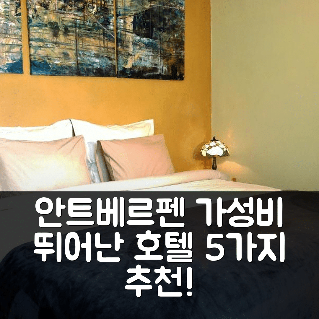 안트베르펜 숙소 여행 호텔 추천 비앤비 엑스터레어 | 조식과 가성비 뛰어난 5가지 이유