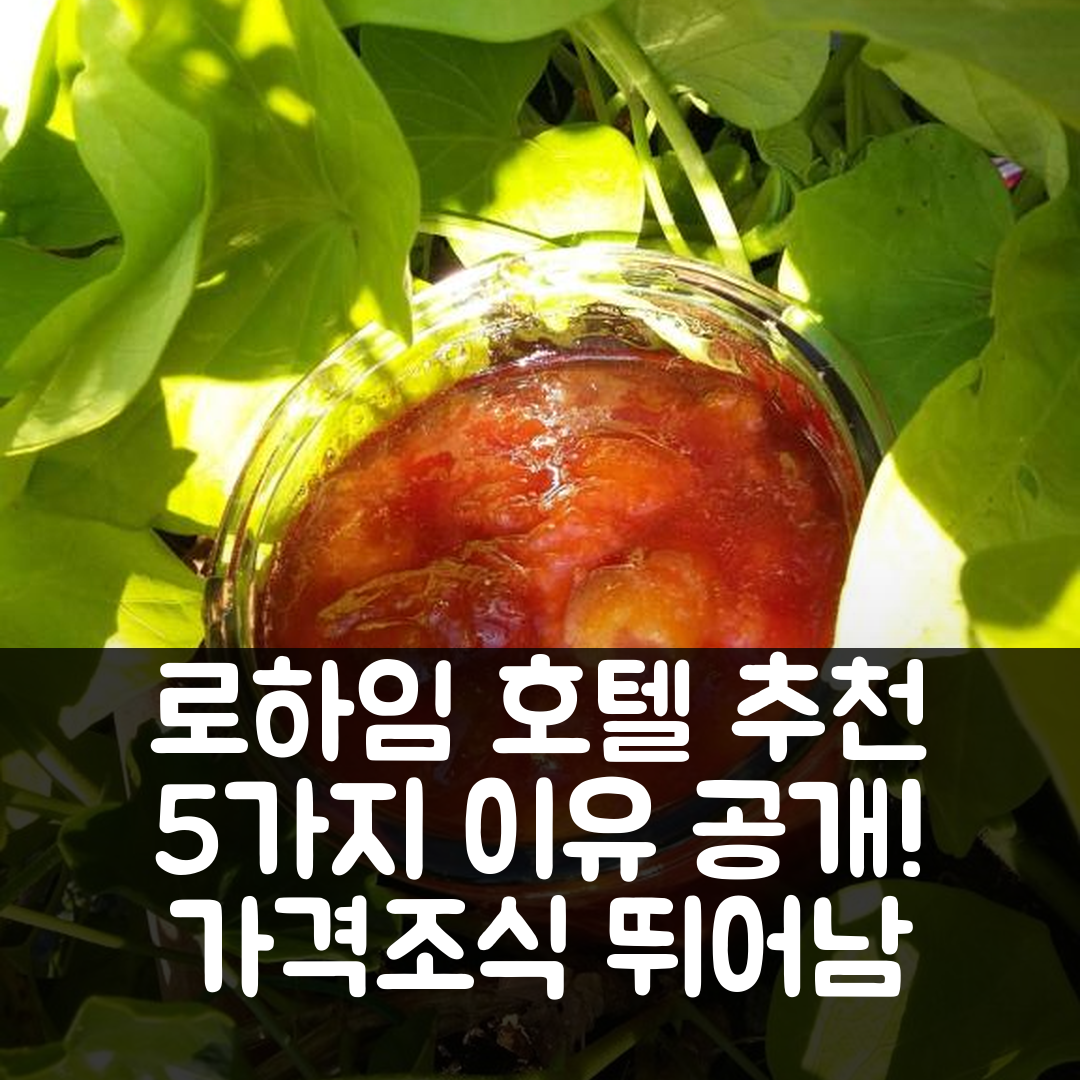 로하임 숙소 여행 호텔 추천 샹브르 다오트 쉐 마도 오트로트 | 가격과 조식이 뛰어난 5가지 이유